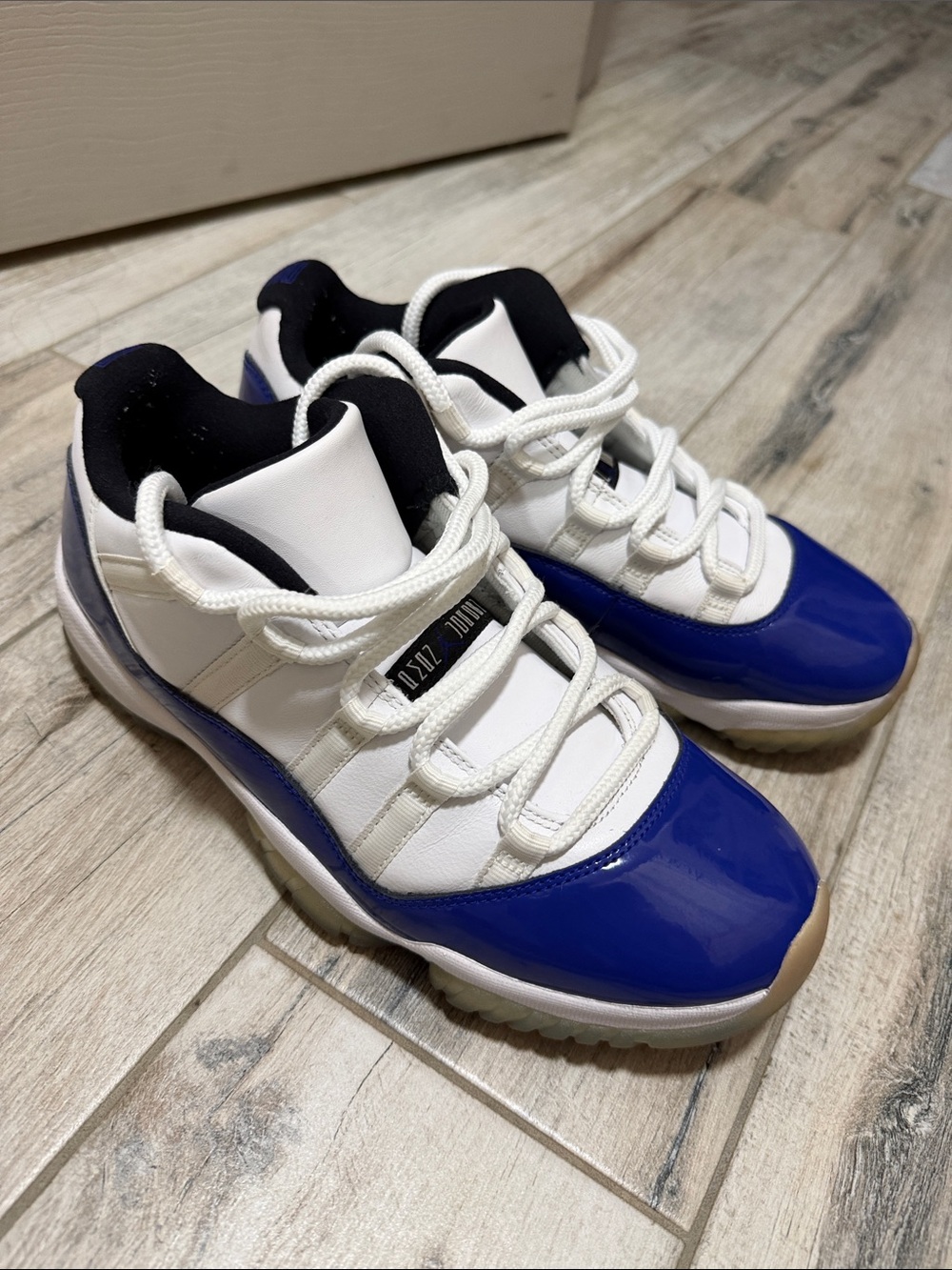 Jordan 11 Concord Sketch